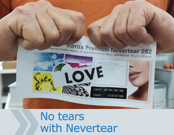 Das gesamte Nevertear-Sortiment