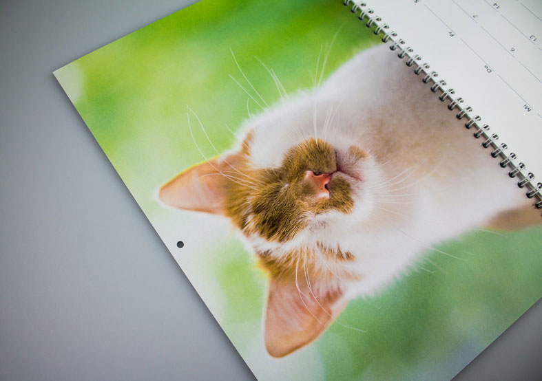 Katzenkalender doppelseitig mit Bohrung Wandkalender doppelseitig, mit Bohrung