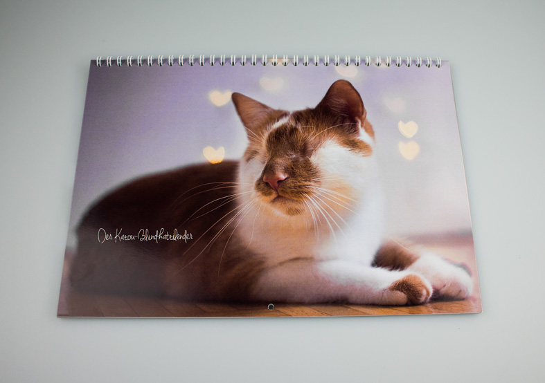 Wandkalender Beispiel mit Katzen Wandkalender doppelseitig, geschlossen
