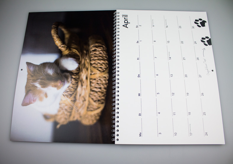 Süßer Katzenkalender doppelseitig, offenliegend Wandkalender doppelseitig, offenliegend