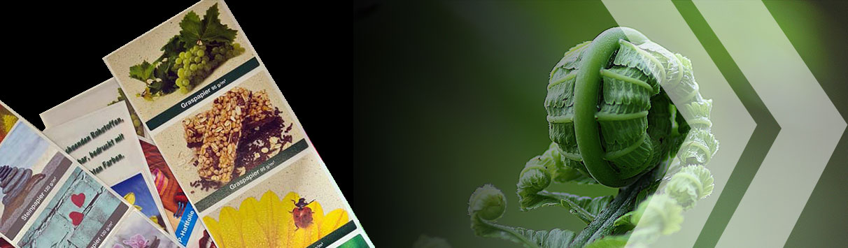 Rollenetiketten: Neu im Sortiment